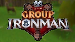 Everything You Should Know About Group Ironman Before Release!