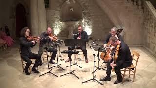 Master clarinetist Milan Milosević with the Zagreb Quartet | Brahms, Clarinet Quintet Op. 115