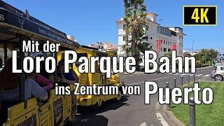 Fahrt mit der Loro Parque Bahn ins Zentrum von Puerto de la Cruz