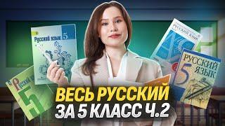 Весь русский за 5 класс — большая практика | Русский язык ОГЭ