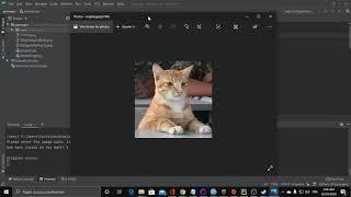 Image manipulation in python