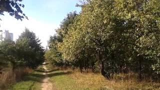 Осенний сад в городе. Autumn garden in the city