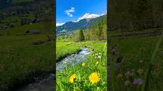 Grindelwald Switzerland  #swissview #shorts