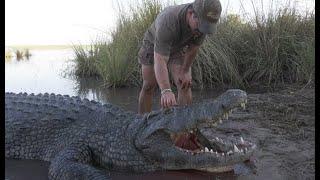 Monster Crocodile - This is Africa TV