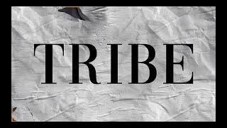 TRIBE Недвижимость | Интро