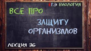 Л.37 | ЗАЩИТА ОРГАНИЗМОВ | ОБЩАЯ БИОЛОГИЯ ЕГЭ