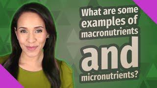 What are some examples of macronutrients and micronutrients?