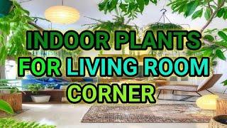 Best Indoor Plants for Living room corner decoration