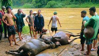 Situation and Recovery of Flood and Landslide Damage in Northwest Vietnam | SAPA TV