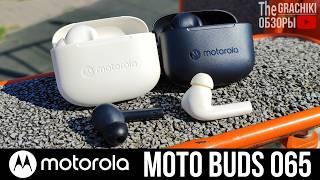 Наушники Motorola MOTO BUDS 065 - ОБЗОР НОВИНКИ