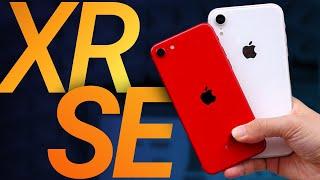 iPhone XR vs iPhone SE — какой купить? Сравнение!