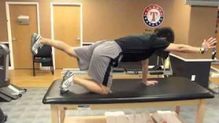 TMI Sports Medicine - Lumbar Spine Core Training Basic Local Muscles