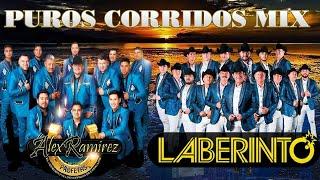 Grupo Laberinto, Alex Ramirez Y Su Grupo Profetas - Puros Corridos Mix - Corridos De Caballos 2021