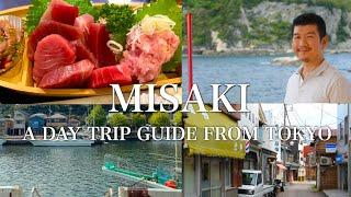 Hidden Gem Day Trip from Tokyo - Eat Tuna at Misaki | Ticket, Itinerary