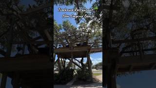 Found a slice of paradise in the trees at this adorable treehouse restaurant in New Smyrna Beach