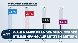 LANDTAGSWAHL IN BRANDENBURG: „Asylrecht abschaffen“, „beschränkte Meinungsfreiheit“ und SPD vs. AFD