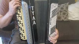 Bayan button accordion