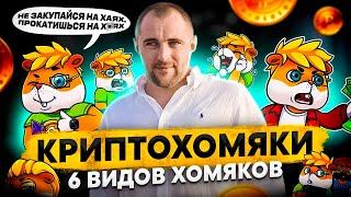 Крипта для новичков. Криптовалюта для начинающих - кто такие криптохомяки? Инвестиции в криптовалюту