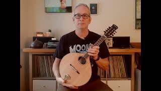 Nyberg Celtic Mandolin: Sitka & Katalox