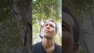 cerita kisah nyata curhatan sejarah Eko kuncir