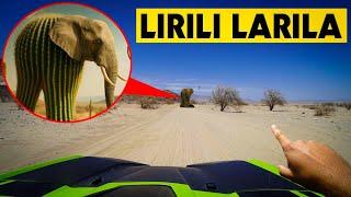 IF YOU SEE LIRILI LARILA WHILE DRIVING AN ATV IN THE DESERT DO NOT APPROACH, DRIVE AWAY (GONE WRONG)