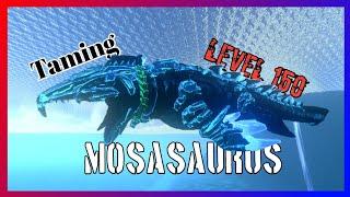 Level 150 Mosasaurus taming + Facts about Mosa | How to Tame | Ark Survival Evolved Mobile