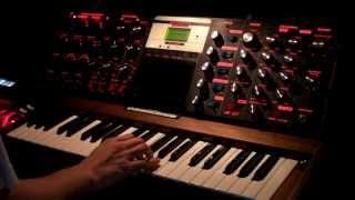 Robinson Crusoe  - Minimoog Voyager -