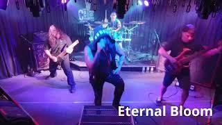 Eternal Bloom - Cellar Stage Reno