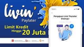 LIVIN MANDIRI PAYLATER