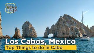 Top things to do in Los Cabos, Mexico - Where the desert meets the sea