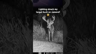 Lighting strikes my deer on camera!! #deer #lightning #wildlife