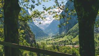 Just Breathe. - A Comfort Playlist │Rain & Thunder ambience