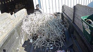 Cashing In On A Mountain Of CAT Wire At The Scrap Yard