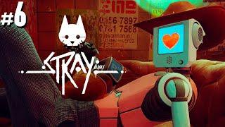 МИДТАУН | Stray