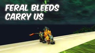 Feral Bleeds CARRY US - 11.0.2 Feral Druid PvP - WoW The War Within