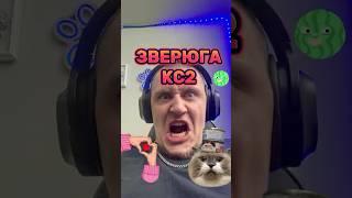 Он не знал, что я за стенкой   #cs2 #csgo #clutch #twitch #gaming #youtubeshorts #ксго #memes