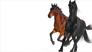 Old Town Road For 1 Hour