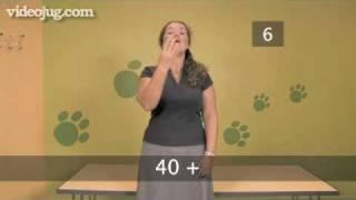 How To Sign Numbers 1 To 100 Using Sign Language