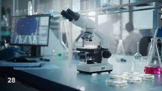 Laboratory 1 - Stock Footage Collection