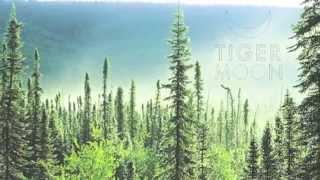Tiger Moon - Mama Nature's Weed