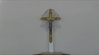 June 19, 2025 Thursday Mass 7:30 AM