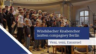 Veni, veni, Emanuel | Windsbacher Knabenchor | lautten compagney Berlin