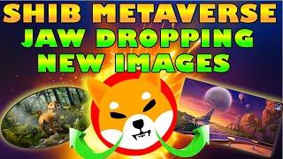 Shiba Inu RELEASES NEW Images Of SHIB The Metaverse Rocket Pond HUB