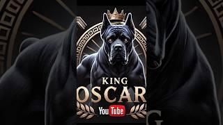 King Oscar: The Noble Guardian of Rome!  Witness the World’s Most Powerful Cane Corso