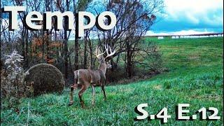 Whitetail Edge Episode 12 - Tempo