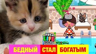 БЕДНЫЙ Спасённый КОТЁНОК СТАЛ БОГАТЫМ в ТОКА БОКА  Toca Life World