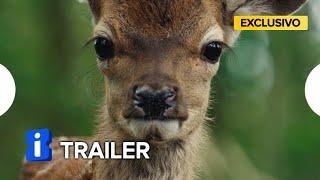 Bambi - Uma Aventura na Floresta | Trailer Legendado Exclusivo