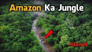 Dangerous Animals of Amazon Jungle | EP 85