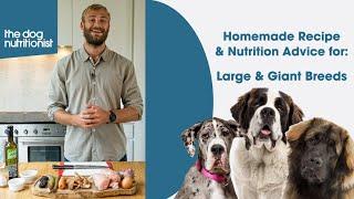 Large & Giant Dog Breeds - Balanced Homemade Dog Food by The Dog Nutritionist