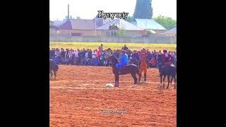 Манас Кулунду  #kyrgyzstan #kokboru #funny